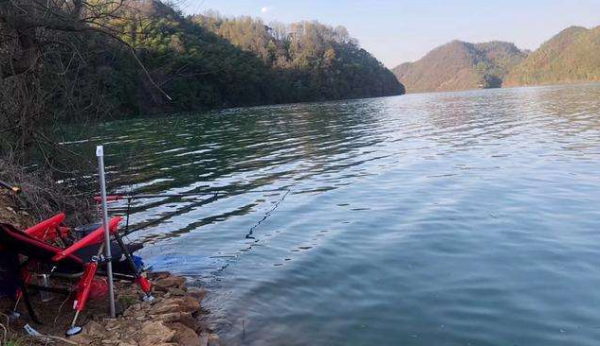 春天的魚真的好釣？抓住這兩個時間點確實好釣