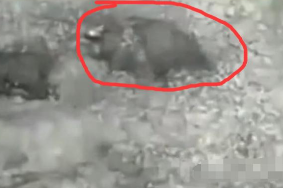 印度“基建病夫”十大畫面：大壩修42年 高鐵坑哭日本 大橋建成就垮