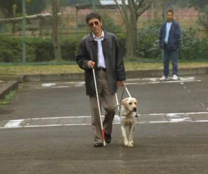 世界素食日，英國人在倫敦廣場上上演了一場“死亡儀式”