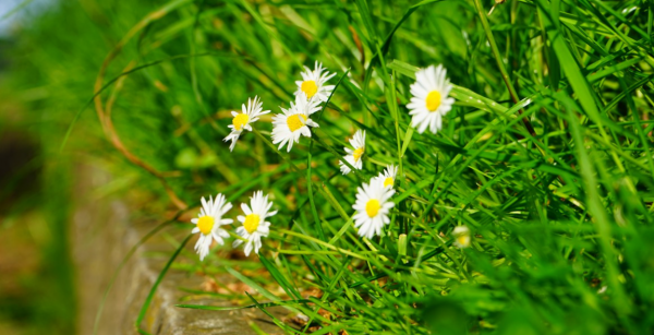 靈隱塔羅：天秤座12月下半月的運勢，把握機會，去開啟新的篇章