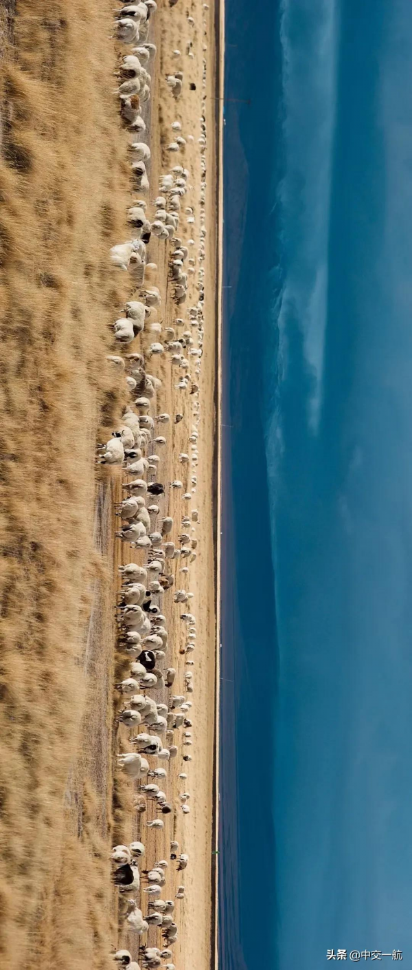 #美麗中國，大美新疆# 大片來襲！新疆烏尉高速一路好風光