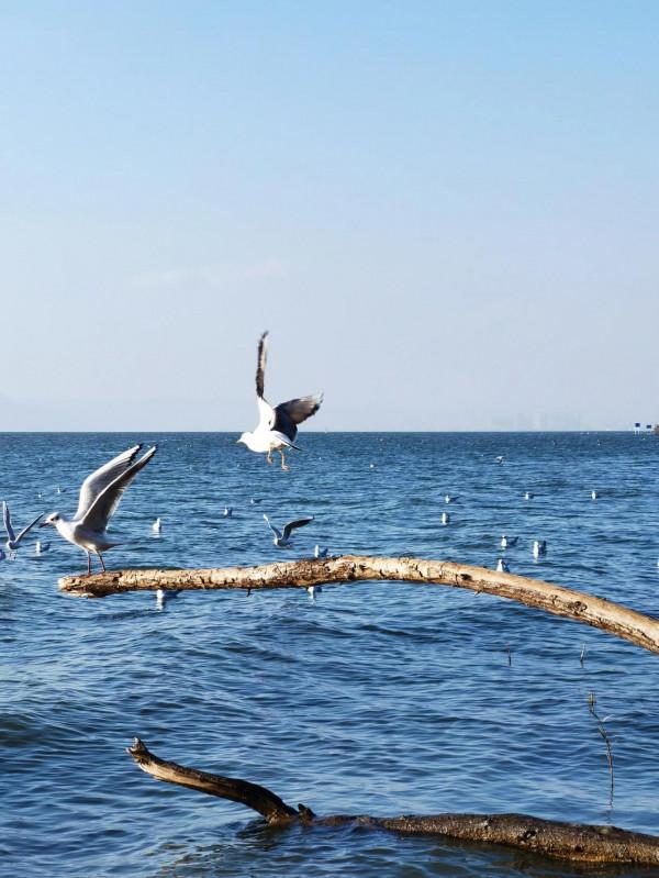 滇池觀落日 滇池觀落日