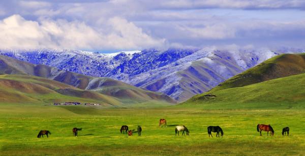 甘肅冷知識：推薦甘肅這22個世界之最和中國之最，你還知道哪些？