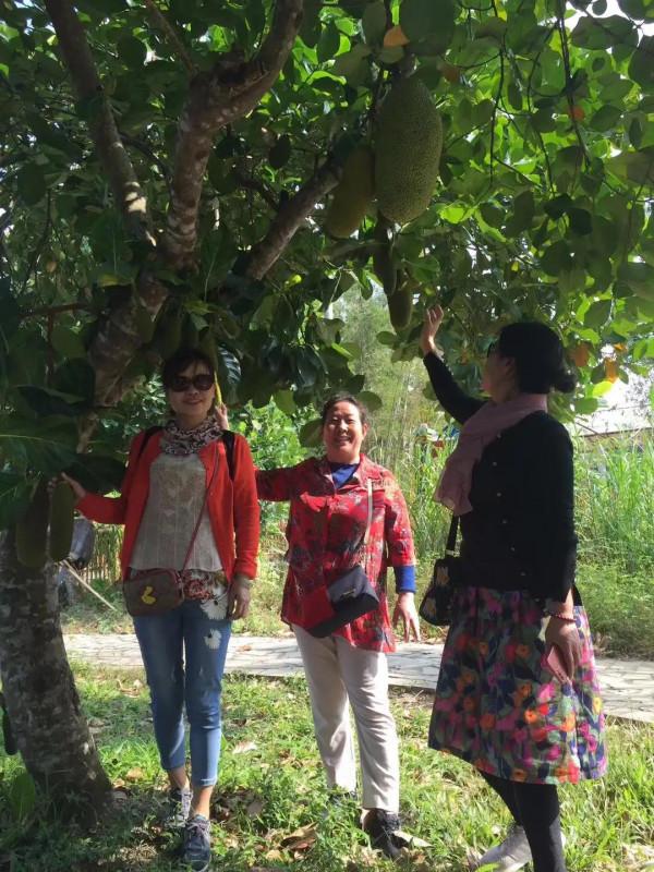 海南旅遊紀實之四