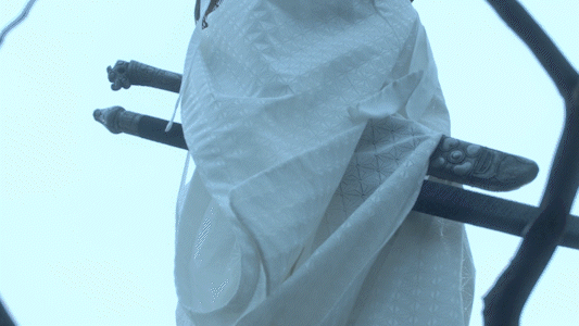 播放破億，《雪中悍刀行》卻被央視撤下黃金檔，武打戲成最大敗筆