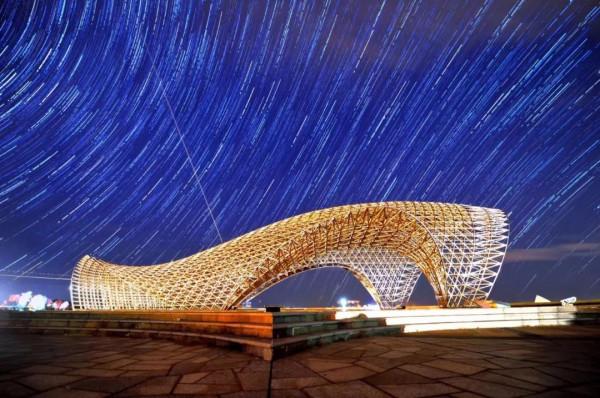 大美臨港丨聽人鯨傳奇、看海天一色、望璀璨星空……這樣的生態寶地，你嚮往嗎？