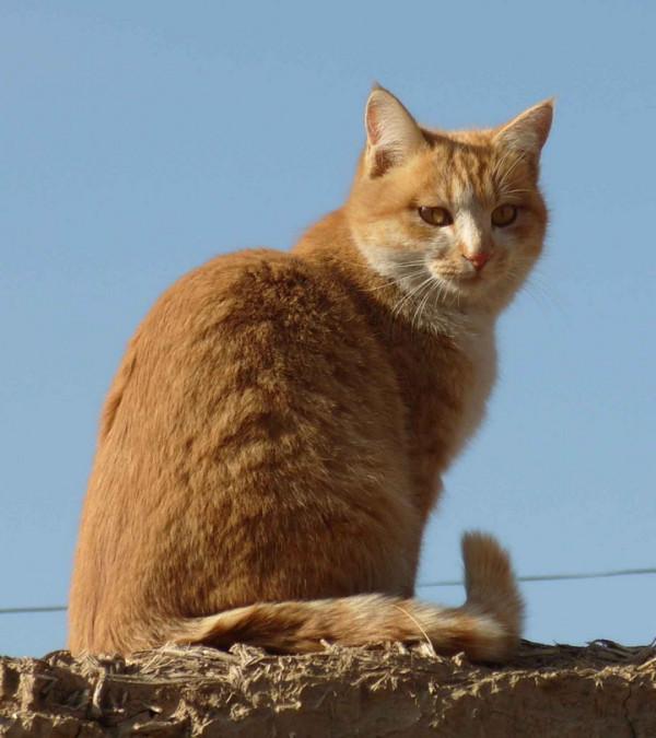 啊！我魂牽夢繞的蘭陵五中！伙房裡的老張當年對我們特別好
