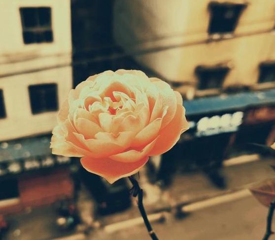 為了孩子的人生旅程，不能和孩子一般見識