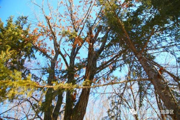 六鼎山文化旅遊區——冬日裡的暖意宛如初見 六鼎山文化旅遊區——冬日裡的暖意宛如初見