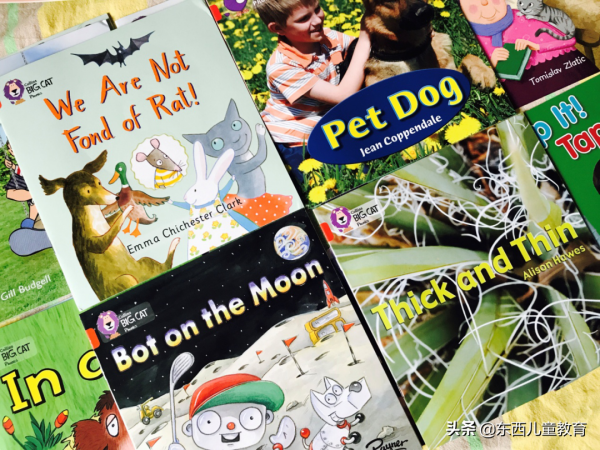 等了一年的分級閱讀王者:《大貓》來了 等了一年的分級閱讀王者:《大貓》來了