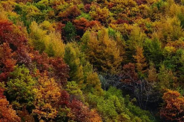 公路之旅！秋意濃，房山紅 | 快來解鎖貫穿美景的靈魂公路