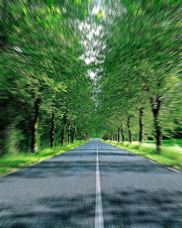 特別漂亮的路風景分享