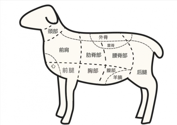 買羊肉,切記“前腿”和“後腿”區別很大,買錯難吃還費錢 買羊肉,切記“前腿”和“後腿”區別很大,買錯難吃還費錢