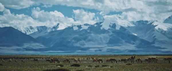 大V和UP主出行都帶啥？手機可以代替相機嗎