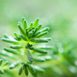 國家醫保目錄再次更新，恆瑞醫藥三款創新藥納入醫保