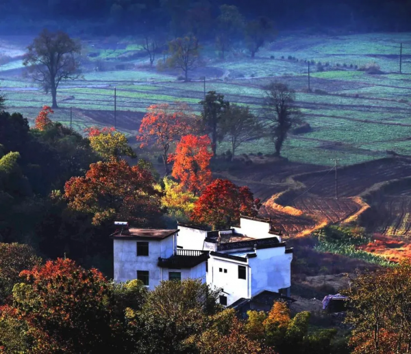 11月，全國最美的12個地方，沒有太多的遊人，卻有濃烈的美景