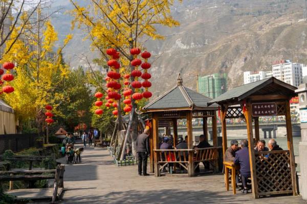 絕美！銀杏盡染無憂城，只看一眼就“淪陷”