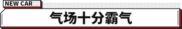 2&period;0T混動系統 油耗更低！坦克500 HEV曝光！價格也將下降？