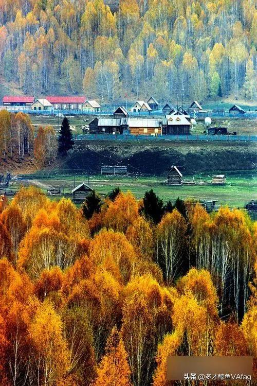 美麗的新疆喀納斯