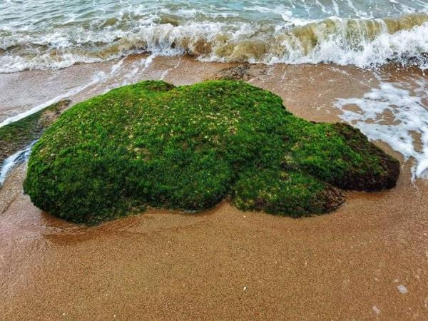 海邊&mdash;&mdash;石