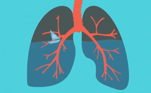 肺氣一虛，全身受累！秋季如何巧補肺氣？