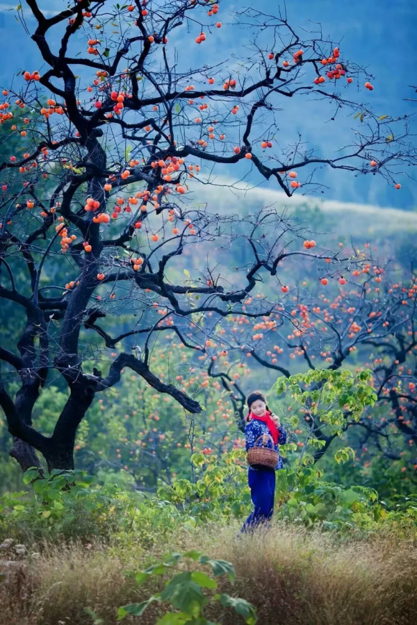 10個藏在深山不為人知的古村落，竟是絕美的“世外桃源”