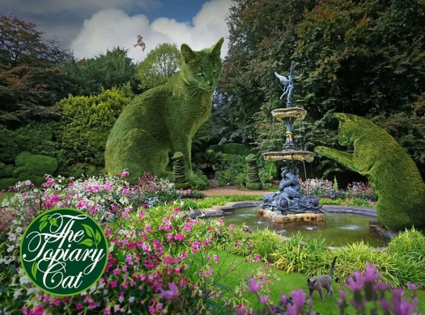 貓咪去世後被主人做成無人機，貓：沒想到死後還有一劫...