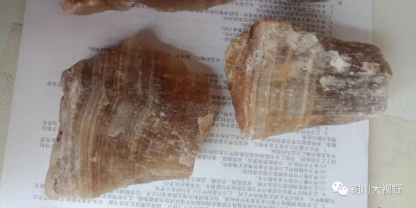 陝西銅川宜君縣深山發現“奇石”?你怎麼看 陝西銅川宜君縣深山發現“奇石”?你怎麼看