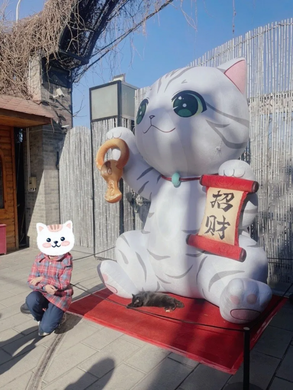 小貓咪都是怎樣&OpenCurlyDoubleQuote;爭寵&rdquo;的？