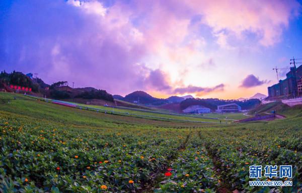 走進鄉村看小康丨“鄂西屋脊”綠蔥坡打造高山運動休閒小鎮