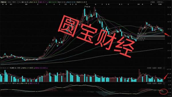 鋰電板塊：任憑風吹雨打 我自巋然不動