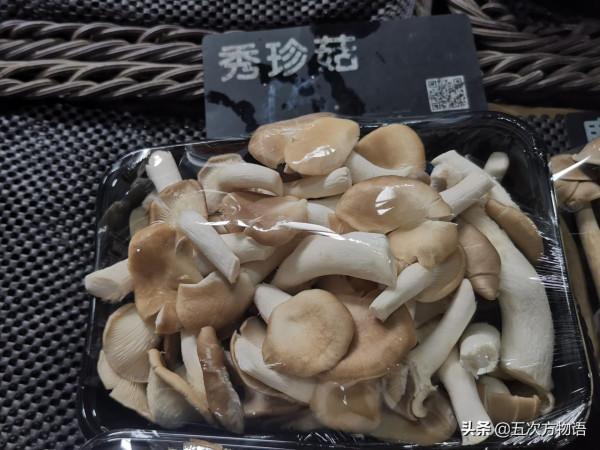 菜市場菌類大彙總