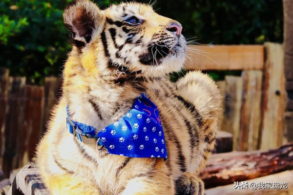 這個冬天，我們一起畢業