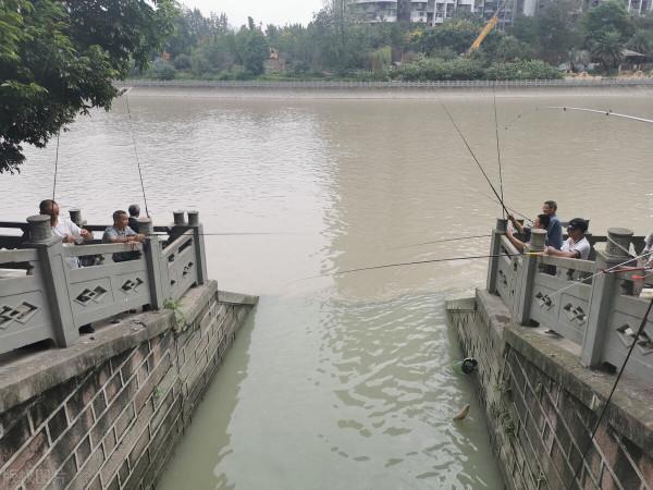 一線2鉤可以釣魚麼?臺釣釣魚人最關心!瞭解規定有必要 一線2鉤可以釣魚麼?臺釣釣魚人最關心!瞭解規定有必要