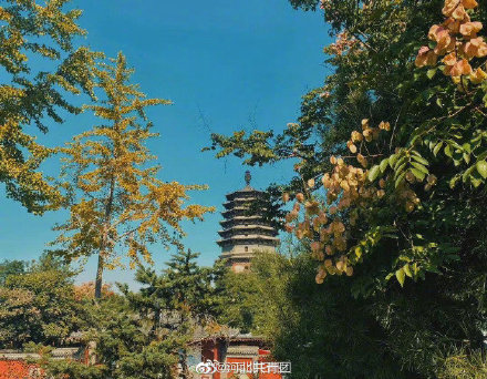 河北人不知道的小眾賞秋地 河北人不知道的小眾賞秋地