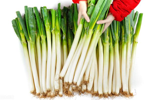 蔥價一週漲50%，蘿蔔翻6倍，蔬菜迎大漲潮！姜農卻說畝虧5000元