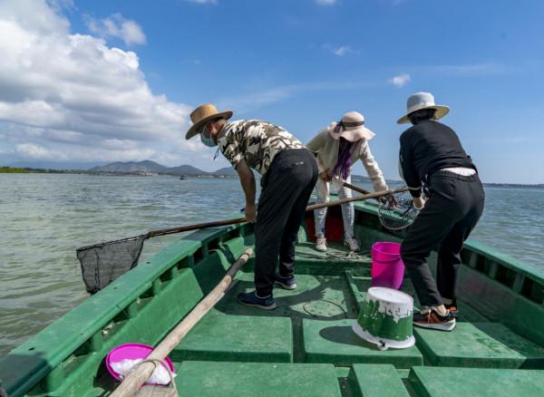海南：新村港灣可乘船觀光撈海膽