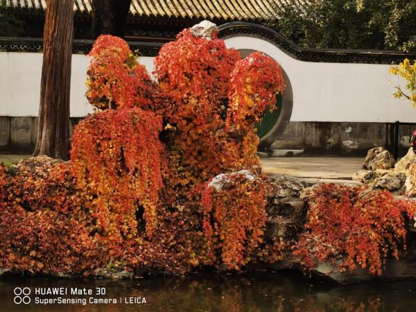 靜心齋的秋色 靜心齋的秋色