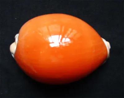 一個海螺能換一輛賓士!大家見過嗎? 一個海螺能換一輛賓士!大家見過嗎?