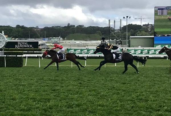 中國馬主曾兩次站上世界之“巔”，2021“巔峰賽”即將開跑