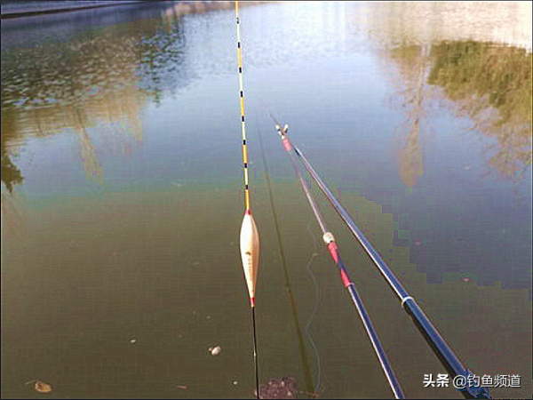 浮漂下頓、黑漂、這麼漂亮的吃口，為什麼提竿就不中魚呢？​