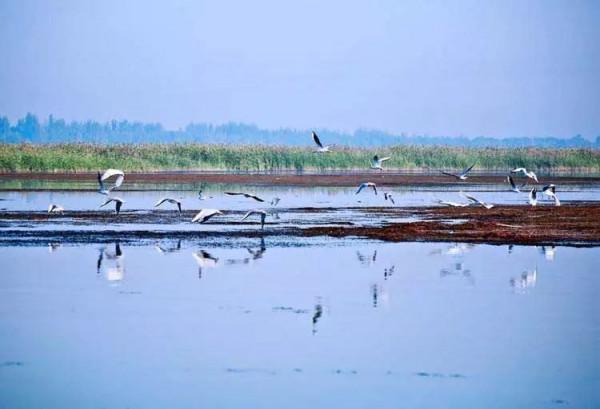 講真！今天出遊最明智，不堵！且為您選好了路線……