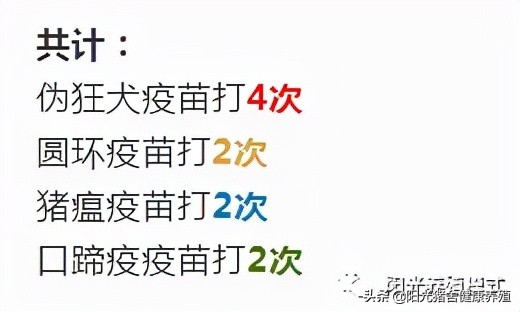 料肉比如何從3.5：1到2.8：1？