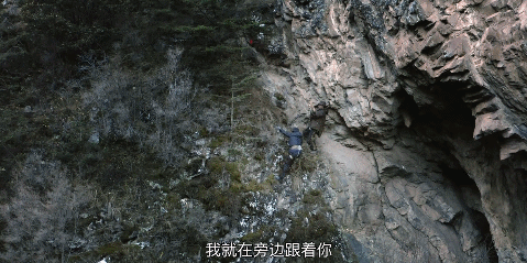 王力宏都塌房了，娛樂圈真正的清流在這裡