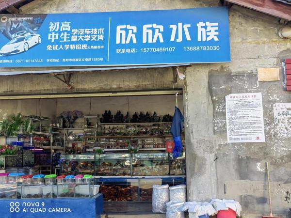 麗江古城昭慶市場