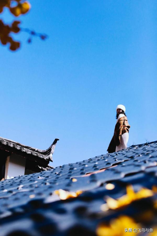 地上不夠耍要上房頂