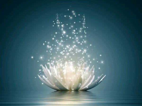 做人十要，十不要