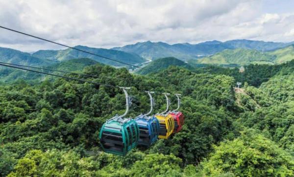 江西一景區走紅，主峰擁有奇特的搖錢樹，因山巒酷似巨龍而得名