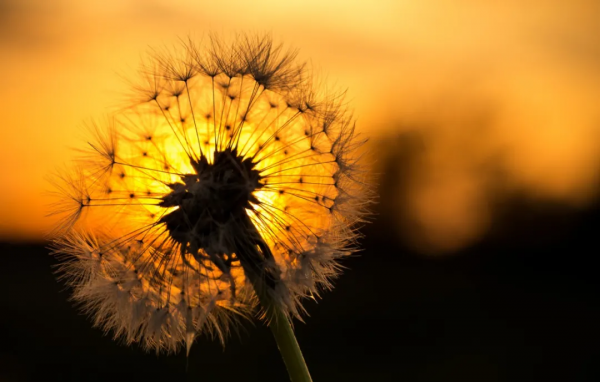 12上升星座，忘了你的人格面具吧！你的人生將會煥然一新（攻略）