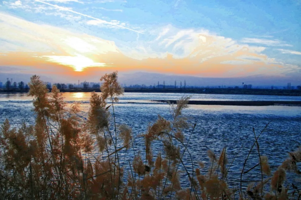 靖遠的黃河之濱真的很美